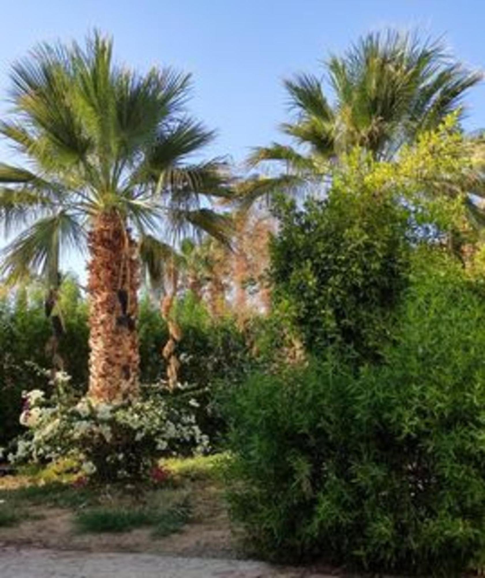 Mirage Bay Resort & Aqua Park Hurghada Exterior foto
